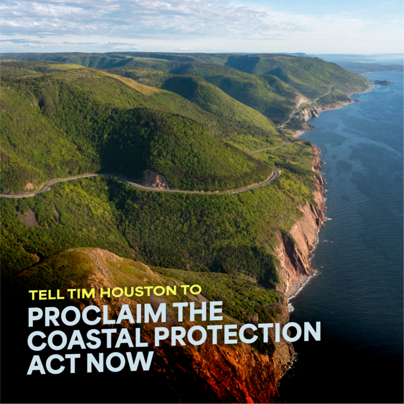 Proclaim the Coastal Protection Act Now